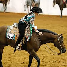 Image result for tbn:tVj6rqcH-AQR9M::www.pregonagropecuario.com.ar/images/caballo_overo.jpg