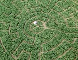 swiss labyrinthe jura delemont activite