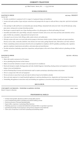 Master Plumber Resume Sample Mintresume