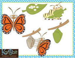 Image result for free clipart stages of a caterpillar