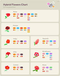 Acnh Design Tumblr In 2020 Animal Crossing Flower Chart Animal Crossing Guide