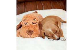Smart pet love snuggle puppy behavioral aid dog toy, light brown. Up To 33 Off On Smartpetlove Snuggle Puppy Be Groupon Goods
