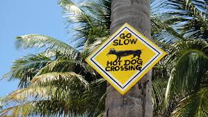 Check spelling or type a new query. Caye Caulker No Shirt No Shoes No Problem Wir Sind Dann Mal Weg