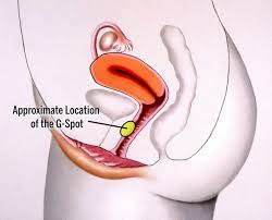 (to force a liquid) to flow out through a narrow opening in a fast stream: How To Make Her Squirt How To Bring Your Lover Or Yourself By Rajeet Singh Lovesex Medium