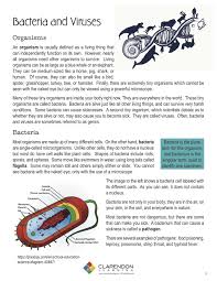 Virus and bacteria critical thinking. Bacteria And Viruses Lesson Plan Clarendon Learning