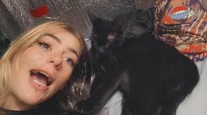 Male dog weight management experiences