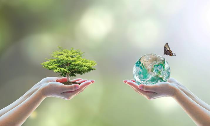 MBA Experto en Gestión Ambiental y Desarrollo Sostenible