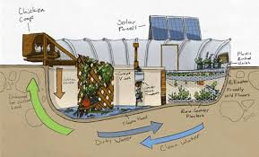 An Empty Swimming Pool Transformed Into An Urban Permaculture Farm Urban Gardens