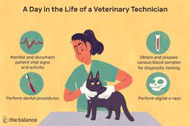 Your local pet clinic & store. Veterinary Technician Job Description Salary Skills More