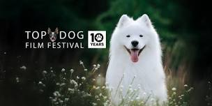 Top Dog Film Festival 2026 - Avalon Beach