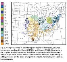 Brood x cicadas 2021 emerging across the map: Billions Of Cicadas May Be Coming Soon To Trees Near You