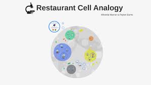 Organelle analogy restaurant cell analogy project cell analogy bakery cell analogy for a country cell analogy to a laptop cell analogy ideas cell analogy football cell analogy basketball cell. Restaurant Cell Analogy By Miranda Warner