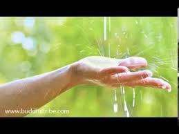 Veja mais ideias sobre música relaxante, musica, música para relaxar. Sons Da Natureza Com Som De Chuva E Musica Relaxante Para Meditacao Youtube