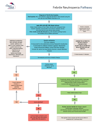 Clinical Pathways The Childrens Hospital At Montefiore