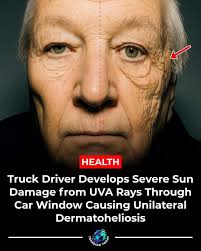 Pets enjoying warm sun through windows