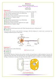 These cells tend to be larger than the cells of bacteria, and have developed. Ncert Solutions For Class 8 Science Chapter 8 Hindi English 2021 2022