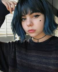 Black And Platinum Hair Aesthetic Pin By Ashpashxo On Hair Ideas In 2020 Blue Hair Aesthetic Aesthetic Hair Short Dyed Hair