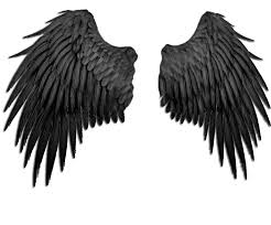 Black And White Angel Wings Wallpaper If You Use To My Picture Please Leave Comments With The Reference Of Your Work I Would Like To See Black Angel Wings Black Angels Fallen Angel Wings