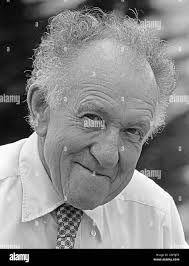 Dubay hi-res stock photography and images