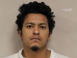 From Bumble To Black Gown, Palatine Couple Ditch The Wedding Day Norms