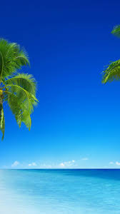 Download portrait nature wallpaper gallery. Portrait Nature Wallpapers Wallpaper Cave