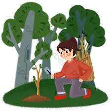 Ground nature hand agriculture and economy saplings sprout tree sapling vector pine tree seedlings planting tree illustration young tree isolated tree and hand plant tree forest. Arbor Day Girl Tree Planting Sapling Drawing Character Png Png Images Psd Free Download Pikbest