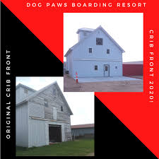 Providing expert pet services to mesa and the surrounding communities. Dog Paws Boarding Resort Is A Home Away From Home For Your Dogs And Cats