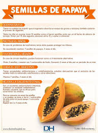 Para Que Sirven Las Semillas De Papaya Health And Nutrition Health Food Nutrition