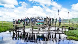 Image result for Zehneria tridactyla