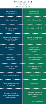We did not find results for: Difference Between Plant Cell And Animal Cell In Tabular Form Animal West