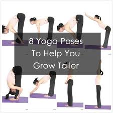 Grow Taller Guide How To Grow Taller Yoga Poses Increase Height Exercise