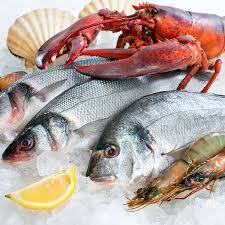 Safe to cook and eat? Learn The Basics About Freezing And Thawing Fish For The Freshest Flavor