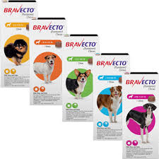 Bravecto Chews For Dogs Free Shipping 1800petmeds