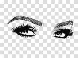 Eyebrow Cosmetics Microblading Eyelash Eye Transparent Background Png Clipart Eyelashes Drawing Makeup Clipart Eye Illustration