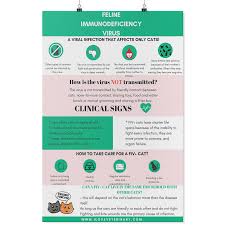 Pin On Gifts For Veterinarians