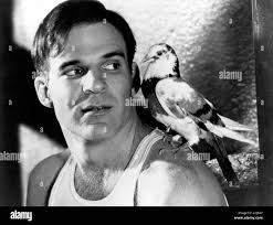 Don martin Black and White Stock Photos & Images