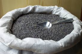 We did not find results for: Dried Lavender Bulk Pack Fragrant Dried Flowers Daisyshop