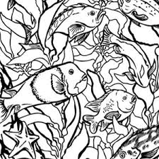 Showing 12 colouring pages related to camo. Camo Coloring Pages For Kids And For Adults Coloring Home