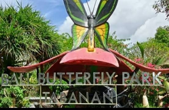 Bali Butterfly Park