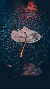 Good morning guys how are you today i am going to share with you 12 months free cccam server which is working on some satellites include dishtv hotbird astra canal+esp hd if u want to purchase. Ø®Ù„ÙÙŠØ§Øª Ø§ÙŠÙÙˆÙ† Ø±ÙˆØ¹Ù‡ Ø§ÙˆØ±Ø§Ù‚ Ø§Ù„Ø®Ø±ÙŠÙ 2020 Hd Ù…Ø±Ø¨Ø¹