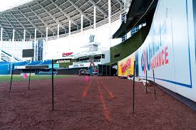 Shaw sports turf knows that baseball is a purist's game. Miami Marlins Choose Shaw Sports Turf Shaw Sports Turf