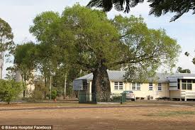 Your #1 source of information about hospitals in biloela. Queensland Man Charged With Torture Of Seven Week Old Baby Boy Daily Mail Online
