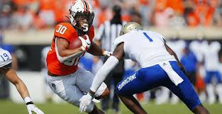 Image result for Hubbardochloa