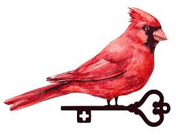 Leader Resources — Red Bird Ministries