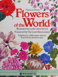 Image result for Chironia laxiflora