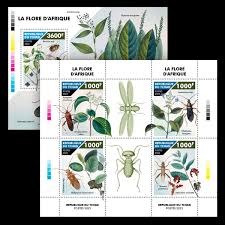 Image result for Aneilema petersii