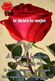 La Vida Es Bella Comunidad Google Frases De Rosas Saludos De Buenos Dias Se Bueno