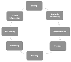 Marketing Management - Functions