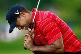The famous golfer describes himself as a cablinasian. The Importance Of Being Angry Wsj