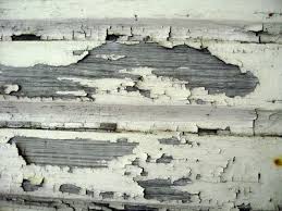 Peel washers are designed to ensure the proper timing of your device on the muzzle of your rifle. What Kind Of High Pressure Washer Best For Paint Removal